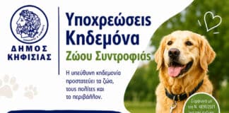 Η Υπεύθυνη Κηδεμονία είναι πράξη Αγάπης και Σεβασμού!