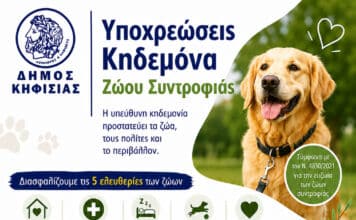 Η Υπεύθυνη Κηδεμονία είναι πράξη Αγάπης και Σεβασμού!