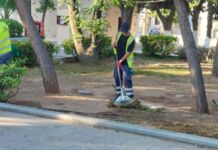 Δήμος Αμαρουσίου: Εκτεταμένες παρεμβάσεις καθαρισμού και συντήρησης πρασίνου στις οδούς Νερατζιωτίσσης και Αγίων Αναργύρων, 28ης Οκτωβρίου και στην περιοχή των σχολείων στο Ζεκάκειο
