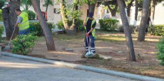 Δήμος Αμαρουσίου: Εκτεταμένες παρεμβάσεις καθαρισμού και συντήρησης πρασίνου στις οδούς Νερατζιωτίσσης και Αγίων Αναργύρων, 28ης Οκτωβρίου και στην περιοχή των σχολείων στο Ζεκάκειο