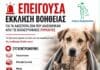 ΕΠΕΙΓΟΥΣΑ ΕΚΚΛΗΣΗ ΒΟΗΘΕΙΑΣ ΓΙΑ ΤΑ ΑΔΕΣΠΟΤΑ ΖΩΑ ΠΟΥ ΔΙΑΣΩΘΗΚΑΝ ΑΠΟ ΤΙΣ ΚΑΤΑΣΤΡΟΦΙΚΕΣ ΠΥΡΚΑΓΙΕΣ