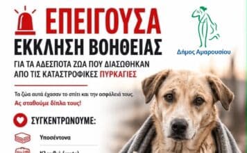 ΕΠΕΙΓΟΥΣΑ ΕΚΚΛΗΣΗ ΒΟΗΘΕΙΑΣ ΓΙΑ ΤΑ ΑΔΕΣΠΟΤΑ ΖΩΑ ΠΟΥ ΔΙΑΣΩΘΗΚΑΝ ΑΠΟ ΤΙΣ ΚΑΤΑΣΤΡΟΦΙΚΕΣ ΠΥΡΚΑΓΙΕΣ
