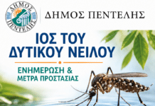 Νέο Κρούσμα Ιού του Δυτικού Νείλου στον Δήμο Πεντέλης – Μέτρα Προστασίας από τα Κουνούπια