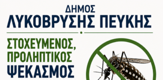Ενημέρωση για τον ιό του Δυτικού Νείλου – Μέτρα προστασίας και ενέργειες καταπολέμησης κουνουπιών