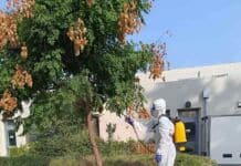 Ξεκίνησαν οι ψεκασμοί που συντονίζει ο Δήμος Λυκόβρυσης – Πεύκης σε δημοτικά κτήρια και κοινόχρηστους χώρους
