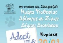 Μια ζεστή αγκαλιά για τα αδέσποτα του Δήμου Διονύσου