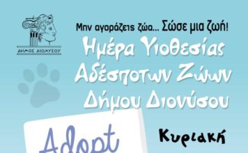 Μια ζεστή αγκαλιά για τα αδέσποτα του Δήμου Διονύσου