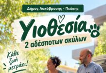 Διπλή υιοθεσία αδέσποτων σκύλων στον Δήμο Λυκόβρυσης – Πεύκης