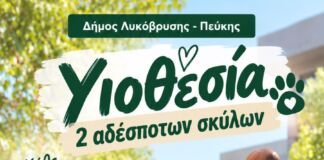 Διπλή υιοθεσία αδέσποτων σκύλων στον Δήμο Λυκόβρυσης – Πεύκης