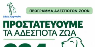 Δήμος Αμαρουσίου: Ενισχύεται το πρόγραμμα προστασίας των αδέσποτων ζώων – 234 στειρώσεις το 2026 και στόχος οι 700 έως το τέλος του έτους