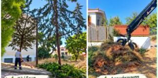 Δήμος Πεντέλης: Εκτεταμένες παρεμβάσεις καθαριότητας, πρασίνου και ευπρεπισμού σε 72 σημεία της πόλης