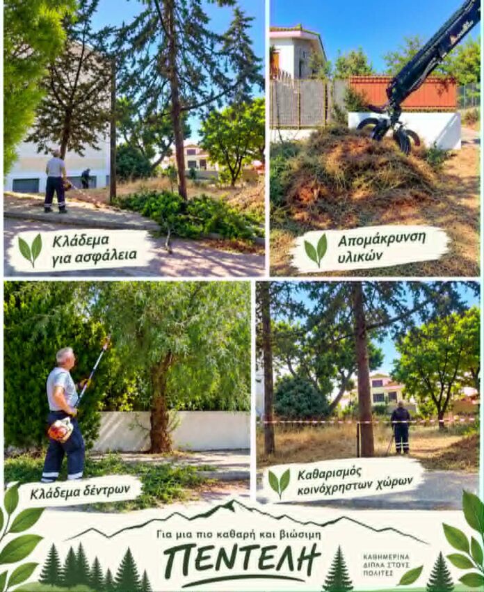 ΚΑΘΑΡΙΣΜΟΙ ΔΗΜΟΥ ΠΕΝΤΕΛΗΣ ΚΑΛΟΚΑΙΡΙ