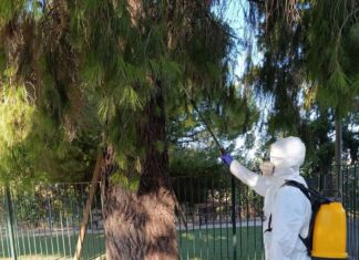 Συνεχίστηκαν και σήμερα Παρασκευή 4 Σεπτεμβρίου 2026 οι εργασίες κουνουποκτονίας σε κοινόχρηστους χώρους, προαύλια σχολικών εγκαταστάσεων και περιβάλλοντες χώρους Ιερών Ναών