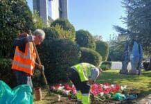 Ολοκληρωμένες παρεμβάσεις στις γειτονιές του Αμαρουσίου με καθαρισμούς φρεατίων, πλύσιμο κάδων, εκτεταμένα κλαδέματα και νέες φυτεύσεις