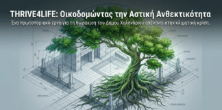 THRIVE4LIFE: Η πρόταση του Δήμου Χαλανδρίου σε ευρωπαϊκό πρόγραμμα LIFE για τη δημιουργία ανθεκτικών οικοσυστημάτων δέντρων