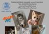 «A day with my pet»: 2η Μεγάλη Γιορτή για τα ζώα το Σάββατο 3 Οκτωβρίου στο Άλσος Κηφισιάς