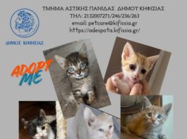 «A day with my pet»: 2η Μεγάλη Γιορτή για τα ζώα το Σάββατο 3 Οκτωβρίου στο Άλσος Κηφισιάς
