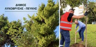 Νέες δενδροφυτεύσεις σε κάθε γειτονιά — Στόχος τα 1.000 βιώσιμα δέντρα έως το 2028 από τον Δήμο Λυκόβρυσης – Πεύκης Νέες δενδροφυτεύσεις σε κάθε γειτονιά — Στόχος τα 1.000 βιώσιμα δέντρα έως το 2028 από τον Δήμο Λυκόβρυσης – Πεύκης