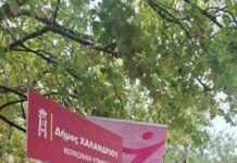 Εκδήλωση ενημέρωσης και ευαισθητοποίησης για τον καρκίνο του μαστού από τον Δήμο Χαλανδρίου και τον Σύλλογο «Άλμα Ζωής» Εκδήλωση ενημέρωσης και ευαισθητοποίησης για τον καρκίνο του μαστού από τον Δήμο Χαλανδρίου και τον Σύλλογο «Άλμα Ζωής»