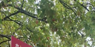 Εκδήλωση ενημέρωσης και ευαισθητοποίησης για τον καρκίνο του μαστού από τον Δήμο Χαλανδρίου και τον Σύλλογο «Άλμα Ζωής» Εκδήλωση ενημέρωσης και ευαισθητοποίησης για τον καρκίνο του μαστού από τον Δήμο Χαλανδρίου και τον Σύλλογο «Άλμα Ζωής»